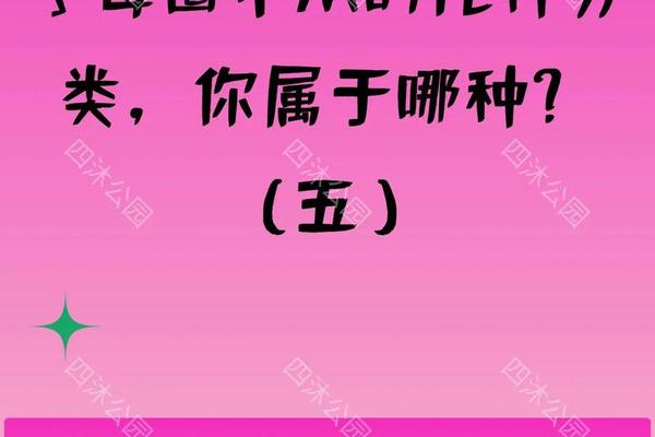 穿衣服原则字母;字母圈ssc原则是什么意思