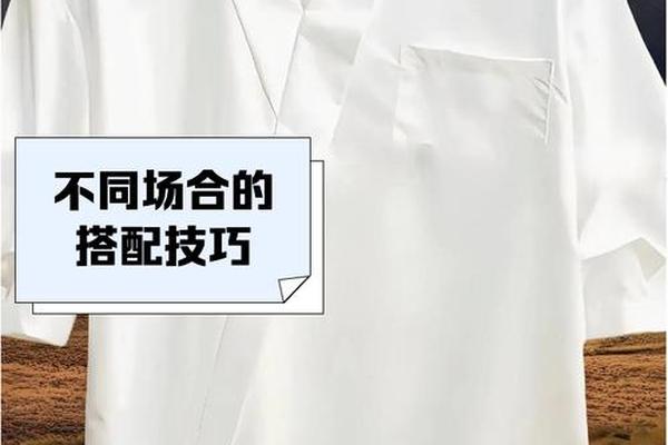 衬衫如何叠衬衫不起皱_怎样叠衬衫不起皱