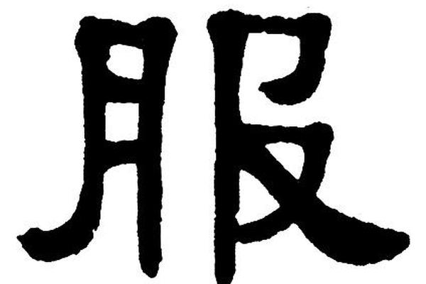 穿衣服的服怎么写的;大写的服字