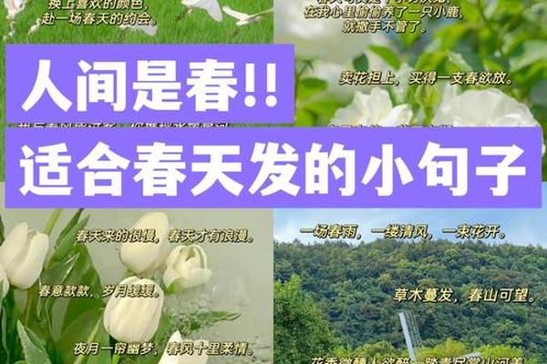 关于春天的约会怎么写(春天约会文案短句)