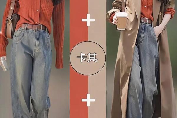 穿衣的基本免费阅读—穿搭黄金法则免费阅读