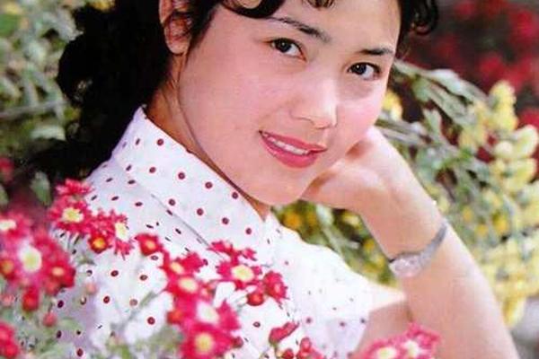 80年代内地女星谁最美,70、80年代最美的女明星