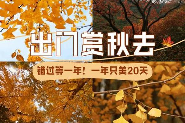 秋天适合约会的地方—情侣约会去哪里