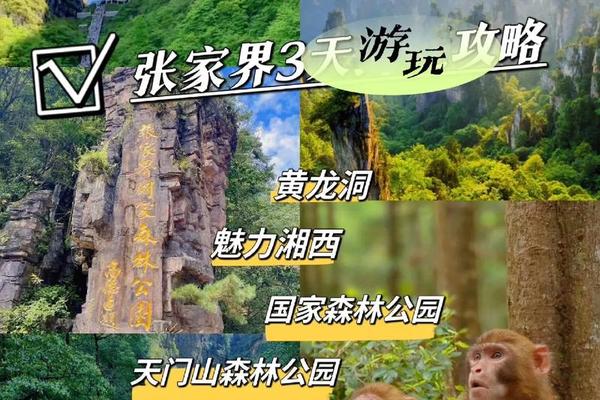 张家界未来15天穿衣建议,3月份去张家界最佳时间 张家界未来15天穿衣建议,3月份去张家界最佳时间