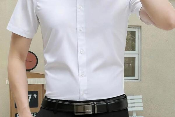 公务员面试着装要求男白衬衫_公务员面试着装男图