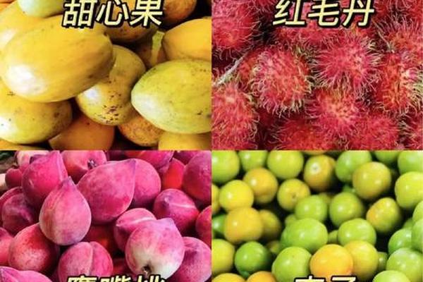 世界上有多少水果,20000种水果图片