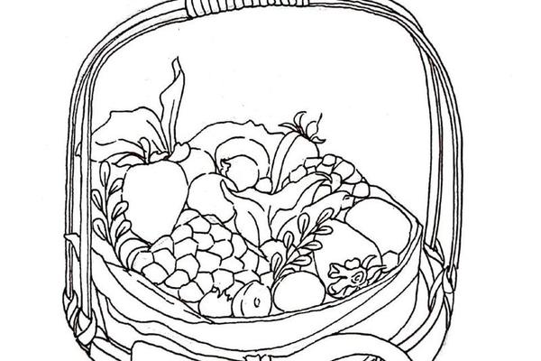 果篮水果搭配图片简笔画、各种各样的水果简笔画