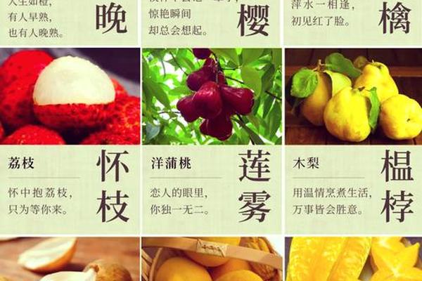 十二种寓意好的水果有哪些名字(寓意好兆头的水果)