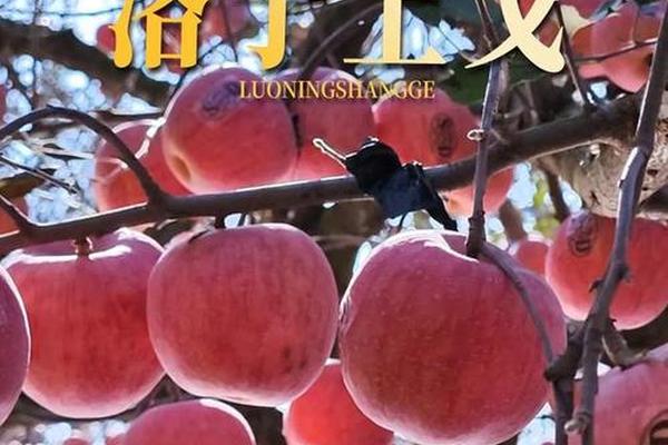国民水果,国民水果董事长背景及经历