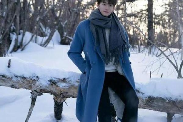 明星穿搭图片男真人_男明星穿大衣图片