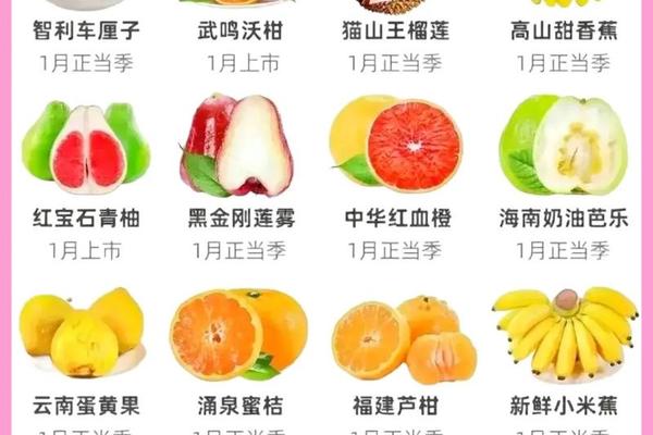 十二种寓意好的水果_吉利水果图片