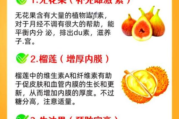 水果的含义和寓意—十二种寓意好的水果