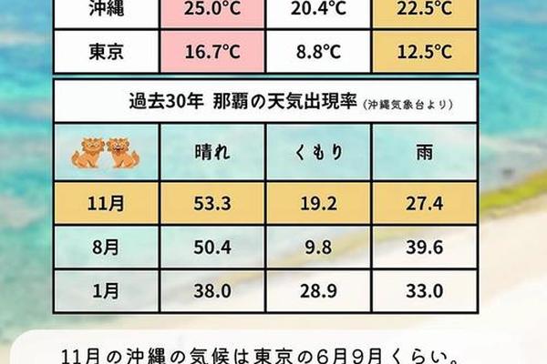 11月穿衣指数、天气11度左右穿什么衣服
