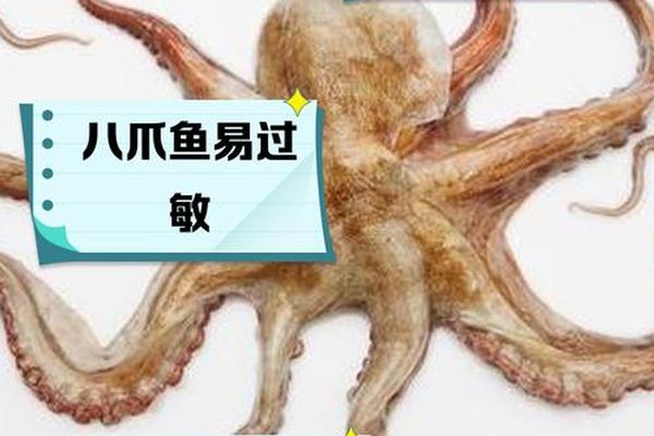 小个子女星和八爪鱼男星是谁呀;短腿八爪鱼和长腿八爪鱼区别