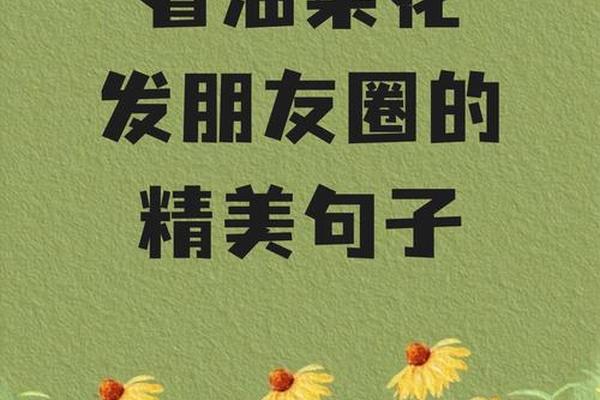春天适合约会的句子;约会发朋友圈的句子
